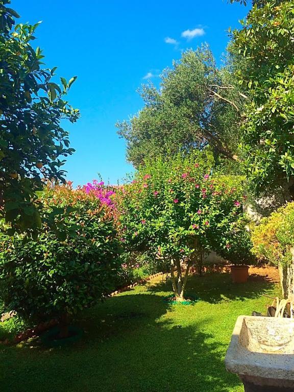 Villa Karolina Dubrovnik Ngoại thất bức ảnh